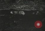 Image of American-Japanese infantry France, 1944, second 51 stock footage video 65675065608