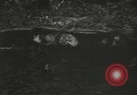 Image of American-Japanese infantry France, 1944, second 52 stock footage video 65675065608