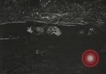 Image of American-Japanese infantry France, 1944, second 53 stock footage video 65675065608