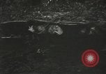 Image of American-Japanese infantry France, 1944, second 54 stock footage video 65675065608