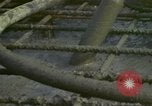 Image of American workmen New York City USA, 1972, second 43 stock footage video 65675065611