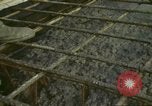 Image of American workmen New York City USA, 1972, second 49 stock footage video 65675065611