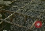 Image of American workmen New York City USA, 1972, second 50 stock footage video 65675065611