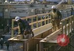 Image of American workmen New York City USA, 1972, second 60 stock footage video 65675065613