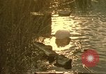 Image of Liberty Island New York City USA, 1972, second 41 stock footage video 65675065616