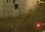 Image of Liberty Island New York City USA, 1972, second 46 stock footage video 65675065616