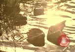 Image of Liberty Island New York City USA, 1972, second 4 stock footage video 65675065617