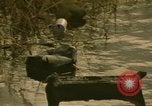 Image of Liberty Island New York City USA, 1972, second 17 stock footage video 65675065617
