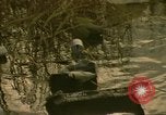 Image of Liberty Island New York City USA, 1972, second 19 stock footage video 65675065617