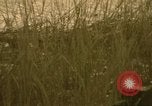 Image of Liberty Island New York City USA, 1972, second 25 stock footage video 65675065617