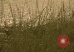 Image of Liberty Island New York City USA, 1972, second 26 stock footage video 65675065617