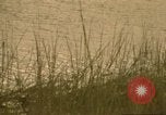Image of Liberty Island New York City USA, 1972, second 27 stock footage video 65675065617