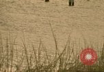 Image of Liberty Island New York City USA, 1972, second 28 stock footage video 65675065617