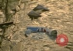 Image of Liberty Island New York City USA, 1972, second 43 stock footage video 65675065617