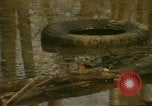 Image of waterway New York City USA, 1972, second 5 stock footage video 65675065618