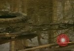Image of waterway New York City USA, 1972, second 7 stock footage video 65675065618