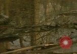 Image of waterway New York City USA, 1972, second 8 stock footage video 65675065618