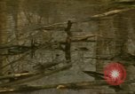 Image of waterway New York City USA, 1972, second 10 stock footage video 65675065618