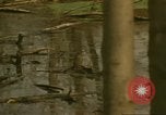 Image of waterway New York City USA, 1972, second 12 stock footage video 65675065618