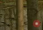 Image of waterway New York City USA, 1972, second 13 stock footage video 65675065618
