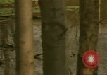 Image of waterway New York City USA, 1972, second 14 stock footage video 65675065618