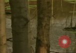 Image of waterway New York City USA, 1972, second 15 stock footage video 65675065618