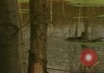 Image of waterway New York City USA, 1972, second 16 stock footage video 65675065618