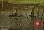 Image of waterway New York City USA, 1972, second 18 stock footage video 65675065618