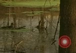 Image of waterway New York City USA, 1972, second 19 stock footage video 65675065618