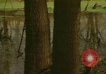Image of waterway New York City USA, 1972, second 21 stock footage video 65675065618
