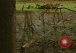 Image of waterway New York City USA, 1972, second 23 stock footage video 65675065618