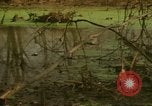 Image of waterway New York City USA, 1972, second 24 stock footage video 65675065618