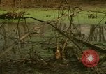 Image of waterway New York City USA, 1972, second 25 stock footage video 65675065618
