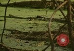 Image of waterway New York City USA, 1972, second 37 stock footage video 65675065618