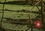 Image of waterway New York City USA, 1972, second 38 stock footage video 65675065618