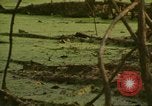 Image of waterway New York City USA, 1972, second 39 stock footage video 65675065618