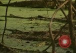 Image of waterway New York City USA, 1972, second 41 stock footage video 65675065618