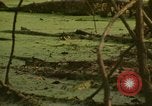 Image of waterway New York City USA, 1972, second 42 stock footage video 65675065618