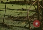 Image of waterway New York City USA, 1972, second 43 stock footage video 65675065618