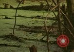 Image of waterway New York City USA, 1972, second 45 stock footage video 65675065618