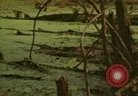 Image of waterway New York City USA, 1972, second 46 stock footage video 65675065618