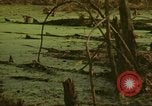 Image of waterway New York City USA, 1972, second 47 stock footage video 65675065618