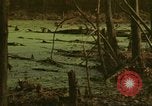 Image of waterway New York City USA, 1972, second 51 stock footage video 65675065618