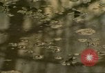 Image of waterway New York City USA, 1972, second 55 stock footage video 65675065618