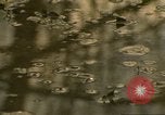 Image of waterway New York City USA, 1972, second 56 stock footage video 65675065618