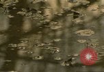 Image of waterway New York City USA, 1972, second 57 stock footage video 65675065618