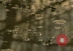 Image of waterway New York City USA, 1972, second 59 stock footage video 65675065618