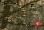 Image of waterway New York City USA, 1972, second 61 stock footage video 65675065618