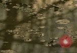 Image of waterway New York City USA, 1972, second 62 stock footage video 65675065618