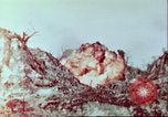 Immagine di Bombardamento di Palau Isole Palau, 1944, secondo 20 filmato di repertorio 65675065647